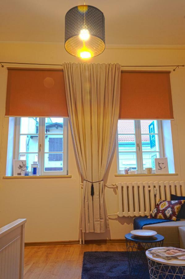 Apartament Ducha No'7 Stary Toruń エクステリア 写真