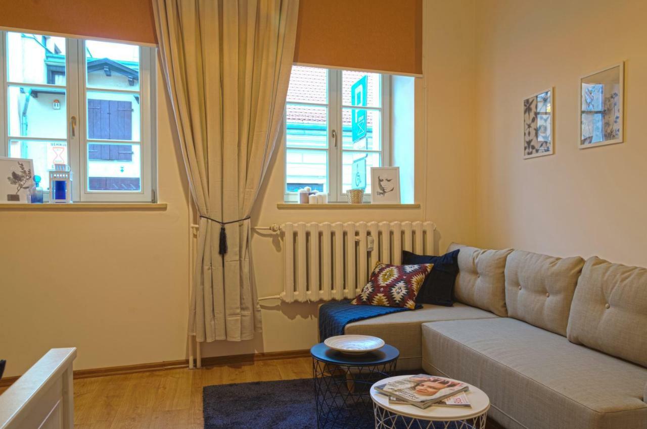 Apartament Ducha No'7 Stary Toruń エクステリア 写真