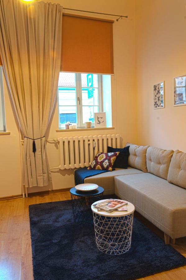 Apartament Ducha No'7 Stary Toruń エクステリア 写真