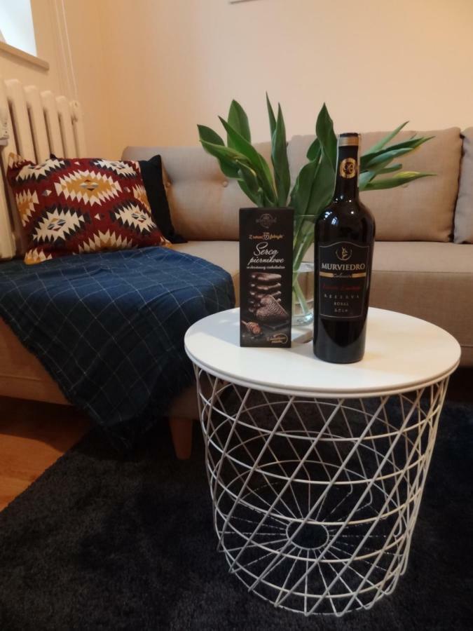 Apartament Ducha No'7 Stary Toruń エクステリア 写真
